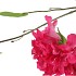 SILK AZALEA PINK 110CM