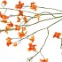 SILK BUTTERCUPS ORANGE 100CM