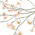 SILK BUTTERCUPS PEACH 100CM