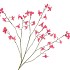 SILK BUTTERCUPS RED 100CM