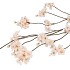 SILK CHERRY BLOSSOM CHAMPAGNE 126CM