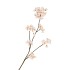 SILK CHERRY BLOSSOM CHAMPAGNE 85CM
