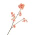 SILK CHERRY BLOSSOM PEACH 85CM