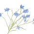 SILK LUCKY CLOVER BLUE 99CM