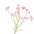 SILK LUCKY CLOVER PINK 99CM