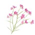 SILK LUCKY CLOVER DARK PINK 99CM