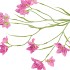 SILK LUCKY CLOVER DARK PINK 99CM