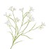 SILK LUCKY CLOVER WHITE 99CM