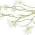 SILK LUCKY CLOVER WHITE 99CM