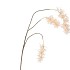 SILK WISTERIA CHAMPAGNE 93CM