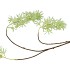 SILK WISTERIA GREEN 93CM