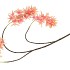 SILK WISTERIA PEACH 93CM