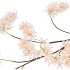 SILK WISTERIA CHAMPAGNE 130CM