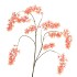 SILK WISTERIA PEACH 130CM NM