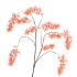 SILK WISTERIA PEACH 130CM