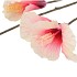 SILK HIBISCUS CHAMPAGNE PINK 85CM