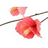 SILK HIBISCUS RED 85CM NM