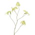 SILK GLORIOSA LIGHT PINK 105CM