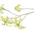 SILK GLORIOSA LIGHT PINK 105CM