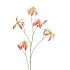 SILK GLORIOSA BEAUTY 105CM