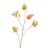 SILK GLORIOSA RED 105CM