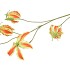 SILK GLORIOSA RED 105CM