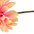SILK DAHLIA BRANCH PEACH 80CM