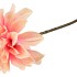 SILK DAHLIA BRANCH CHAMPAGNE PINK 80CM NM
