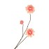 SILK DAHLIA BRANCH CHAMPAGNE PINK 80CM