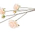 SILK ROSES WILD PEACH 126CM