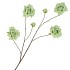 SILK ROSES WILD GREEN 126CM