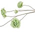 SILK ROSES WILD GREEN 126CM