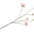 SILK ROSES WILD DARK PINK 126CM