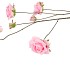 SILK ROSES WILD DARK PINK 126CM