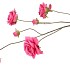 SILK ROSES WILD FUCHSIA 126CM NM