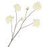 SILK ROSES WILD WHITE 126CM