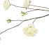 SILK ROSES WILD WHITE 126CM