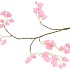 SILK BELLFLOWER PINK 88CM NM