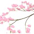 SILK BELLFLOWER PINK 130CM