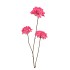 SILK HYDRANGEA X3 RED 85CM NM