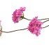 SILK HYDRANGEA X3 PURPLE 85CM NM