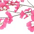 SILK GINKGO BEAUTY 130CM NM