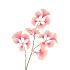 SILK GINKGO PINK/CHAMPAGNE 85CM NM