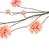 SILK DAHLIA BRANCH PEACH 125CM