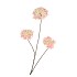 SILK HYDRANGEA X3 PINK/CHAMPAGNE 85CM NM