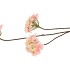 SILK HYDRANGEA X3 PINK/CHAMPAGNE 85CM NM