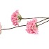 SILK HYDRANGEA X3 LIGHT PINK 85CM