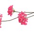 SILK HYDRANGEA X3 BEAUTY 85CM