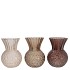 SENNA NATURAL BROWN MIX VASE ASS 13X18CM