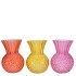 SENNA DUTCH ORANGE MIX VASE ASS 13X18CM